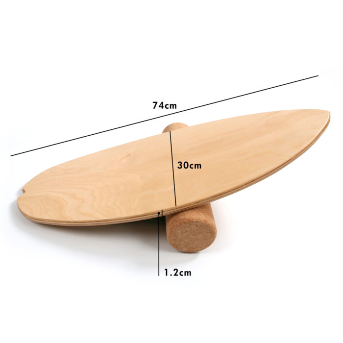 Balance Board PRO-1 (2)