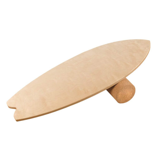 BB-P4 Fish Shape Balance Board with Custom Design (1)